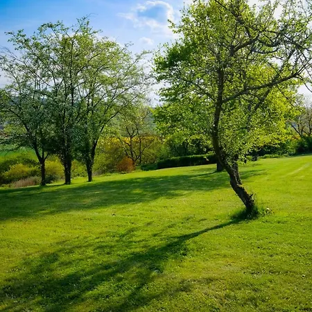 Novakova Vyhlidka Holiday home Zdirec (Plzen-South)